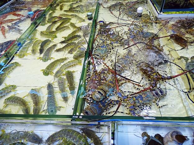 Aquarien mit Seafood im Fischerdorf Lei Yue Mun