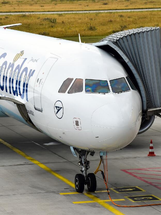 Airbus A321 von Condor mit Janosch-Sonderlackierung in Leipzig 